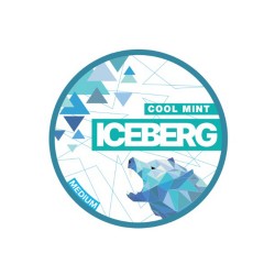 Cool Mint 20mg - Iceberg